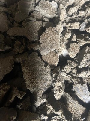 Макуха соняшникова від виробника