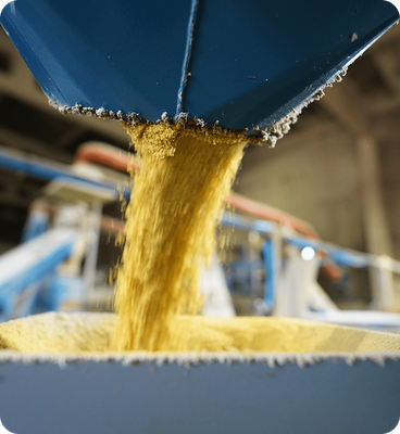 Закуповуємо БЕЗ ГМО сою від виробників